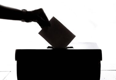 Elected member voting blog image