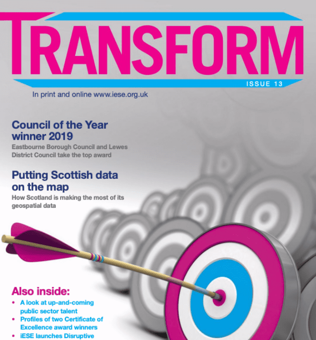 strategy and planning - iese local government and public sector consultant