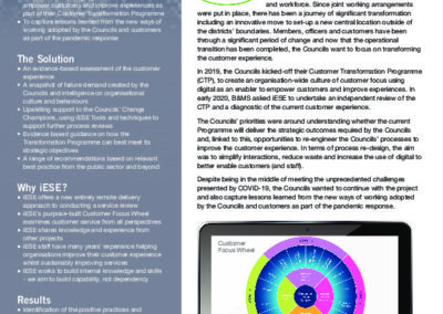 Customer Transformation Review